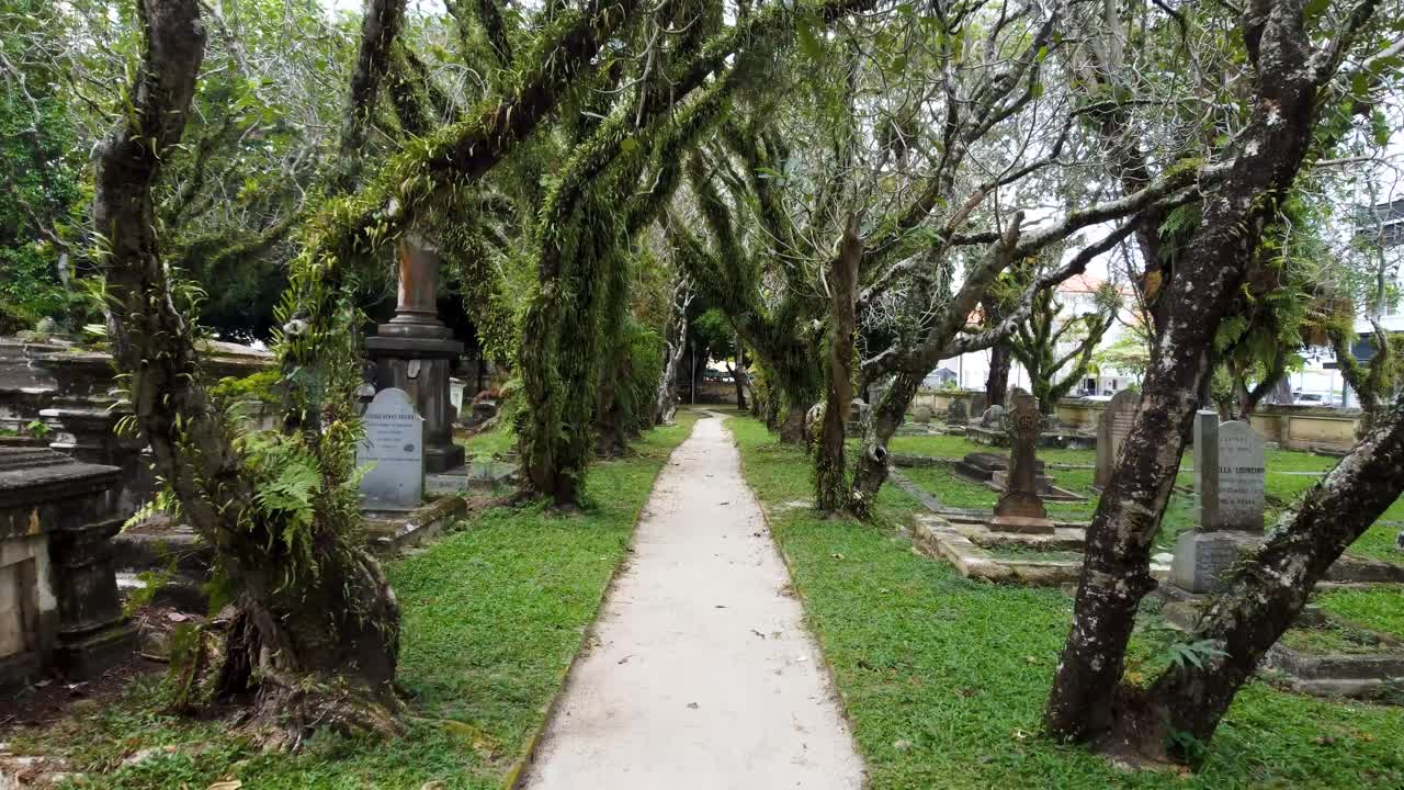 Pathway under trees and through heart of cemetery