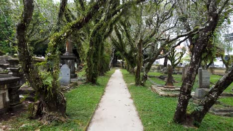 pathway under trees and through heart of cemetery