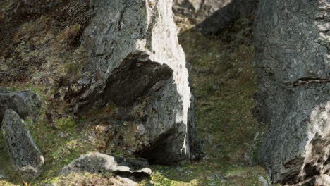 Cerca-De-La-Formación-De-Piedras-Rocosas