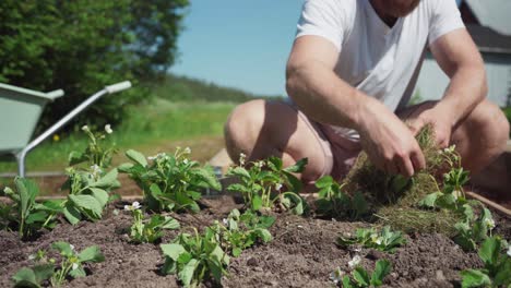 Man-Planting-In-A-Planter-In-The-Garden---close-up