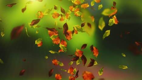 animation of falling leaves loop autumn