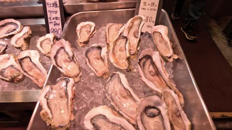 assorted oysters displayed on crushed ice