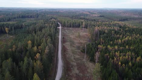 Technical-forest-path-road-for-forestry-recreation-and-logging-aerial-view