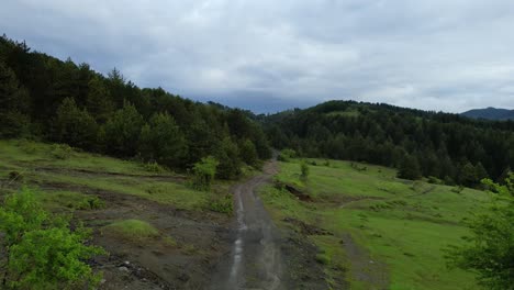 Un-Camino-De-Montaña-Fangoso-Atraviesa-Un-Denso-Bosque-De-Pinos-En-Una-Fría-Mañana-Después-De-La-Lluvia,-Creando-Un-Camino-Panorámico