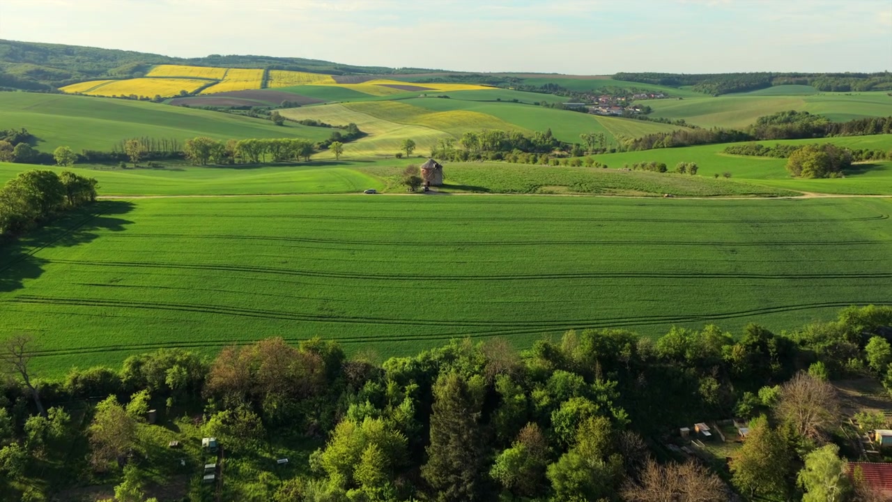 Aerial drone view of a traditional Czech village with tiled rooftops surrounded by green fields with a windmill and rolling rapeseed hills in the distance, Moravia, Czech Republic.