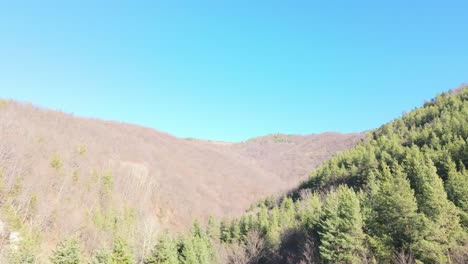 Pine-trees-and-other-non-evergreen-trees-cover-hills-in-the-Balkan-mountains-on-a-sunny-winter-day-with-clear-skies