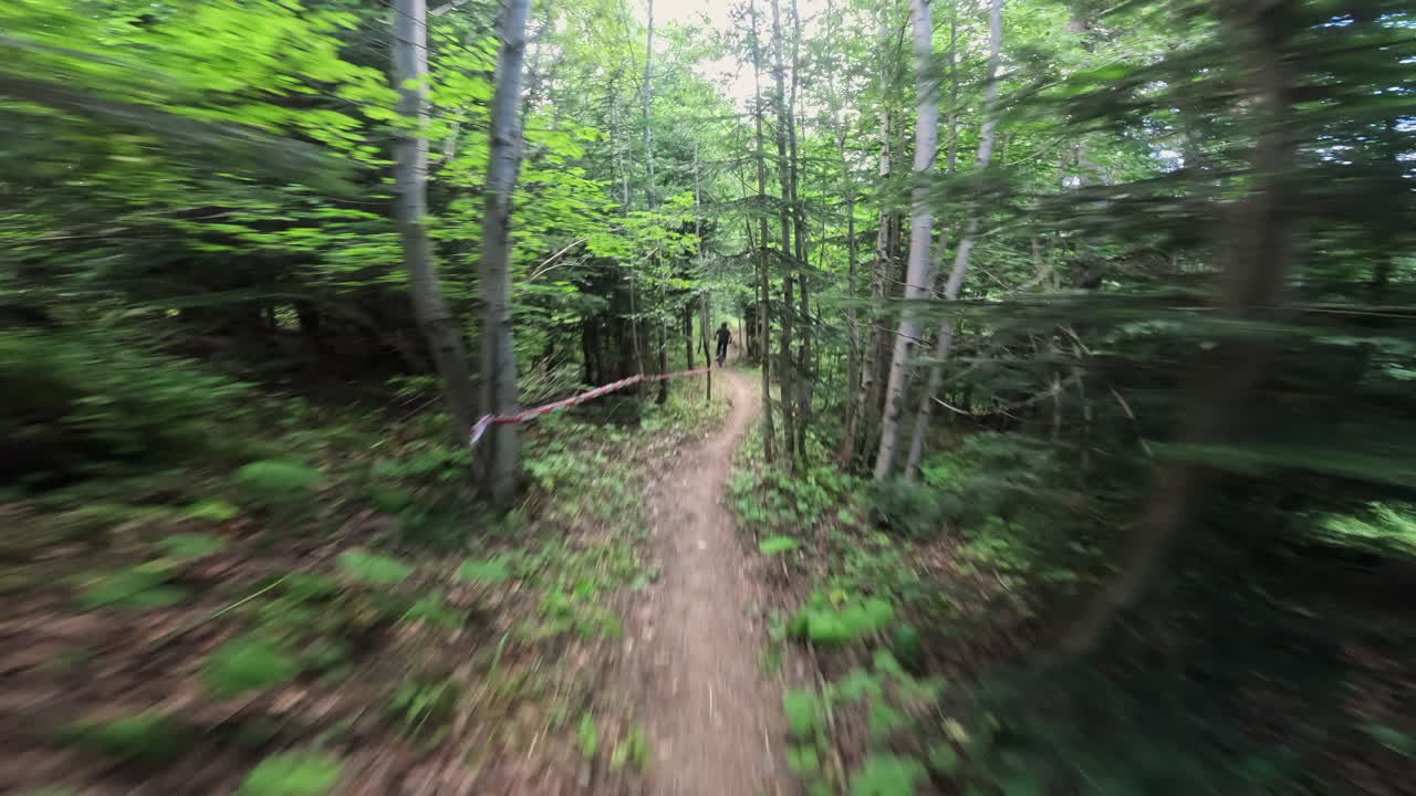 First Person View of Mountain Biking on a Forest Trail