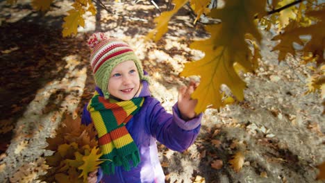 portrait of a cheerful child in an autumn park 2