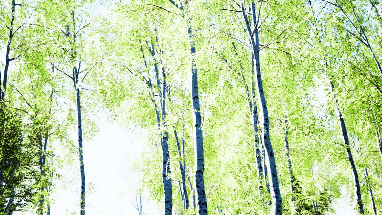 Bright green leaves sway in the gentle wind under a clear blue sky in a forest
