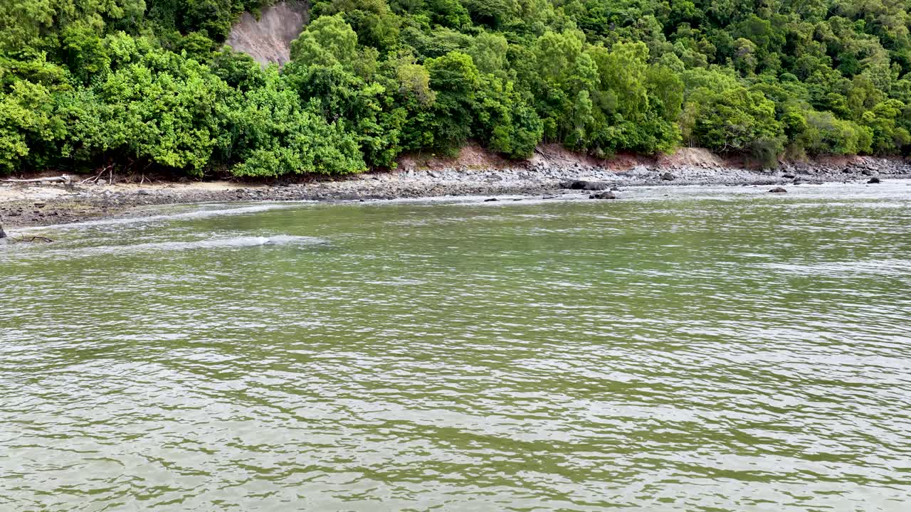 Drone pans over rocky shoreline, green mangroves, and calm ocean under soft daylight