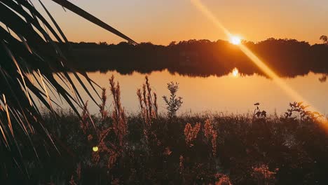 sunset over the lake