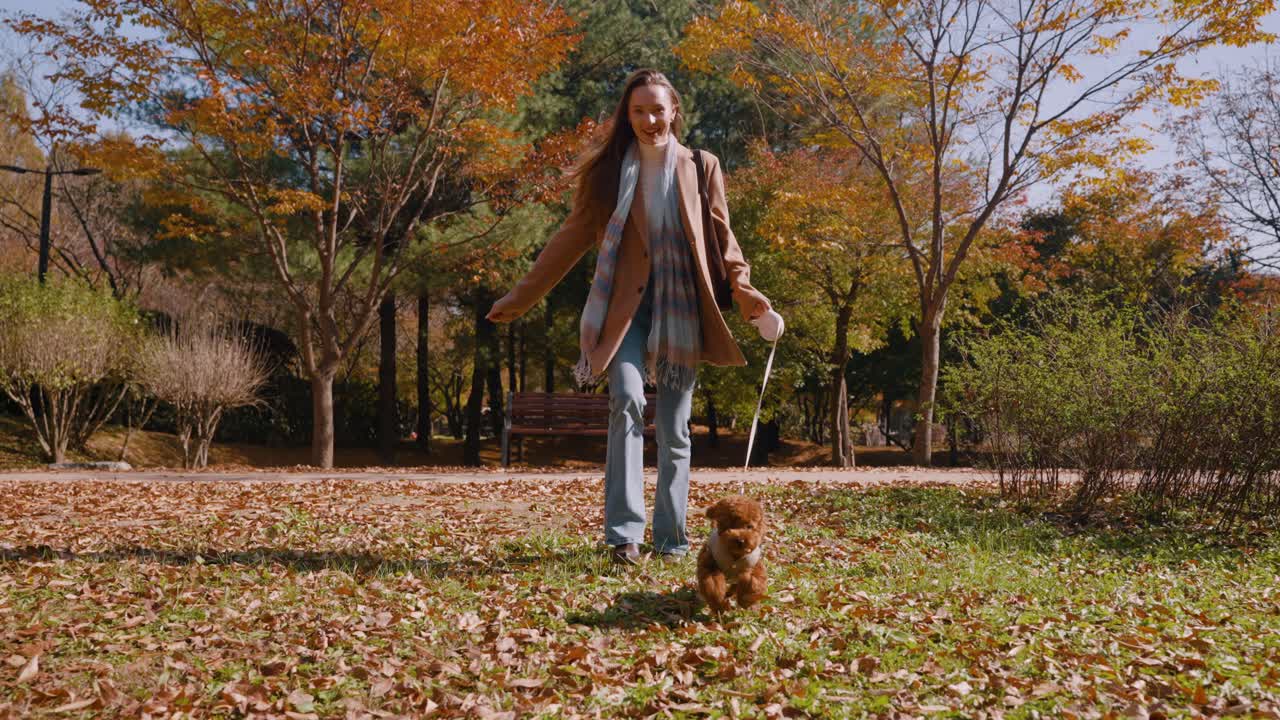 Happy Caucasian Woman Running With Toy Poodle Dog on Leash Through Autumn Park Meadow in slow motion - Front view pull back shot