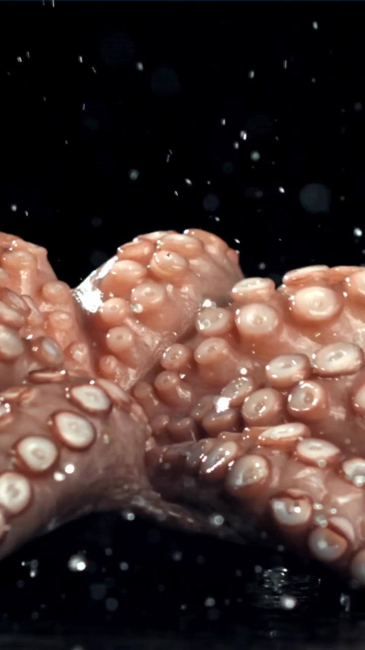 Tentacoli di polpo freschi che schizzano nell'acqua al rallentatore.
