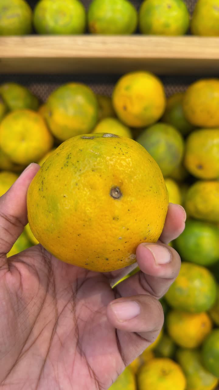 Selección e inspección manual de una naranja fresca en un mercado