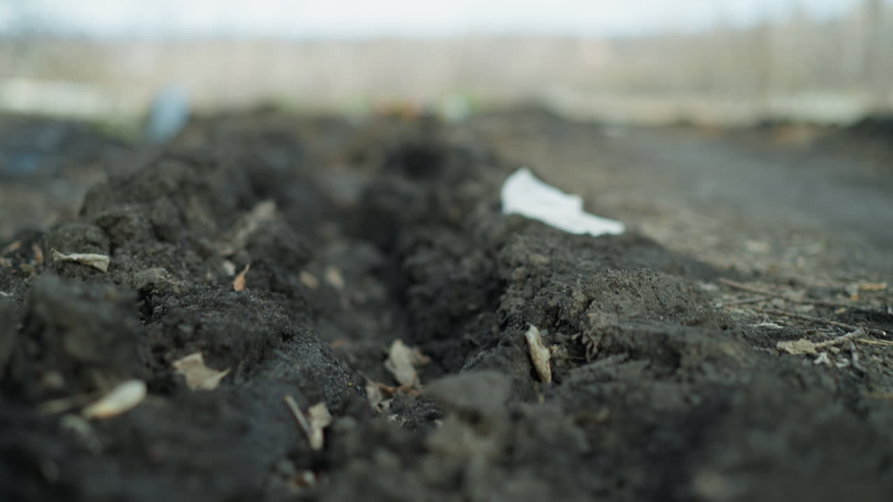 Close-up view of a muddy trench filled with rainwater on leaf-covered ground, with wet soil, decaying leaves, and patches of green grass in a natural, outdoor setting