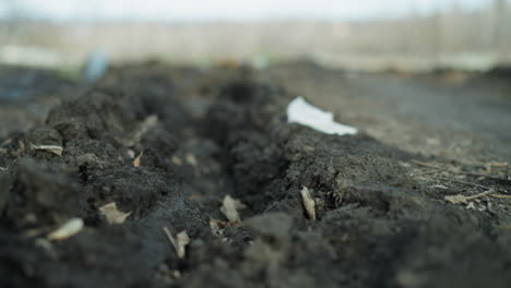 close-up view of a muddy trench filled with rainwater on leaf-covered ground, with wet soil, decaying leaves, and patches of green grass in a natural, outdoor setting