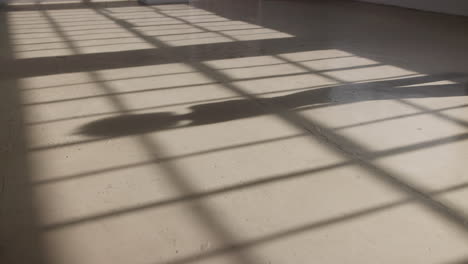 piso, sombra o bailarín en la luz del estudio