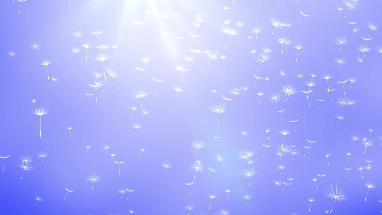 불꽃의 씨을 불어넣는 줄기 배경 불불꽃의 줄기가 비극적인 일몰을 배경으로 날아갑니다.