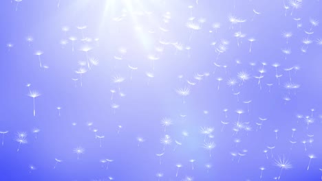 불꽃의 씨을 불어넣는 줄기 배경 불불꽃의 줄기가 비극적인 일몰을 배경으로 날아갑니다.