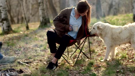 man playing guitar and woman stroking dog together around fire place.real friends people outdoor camping tent vacation in autumn trip.fall sunny day in nature, togetherness and friendship. 4k video