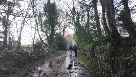 hillwalkers in ireland on an ancient trail to the comeragh mountains waterford on a cold wet winter day