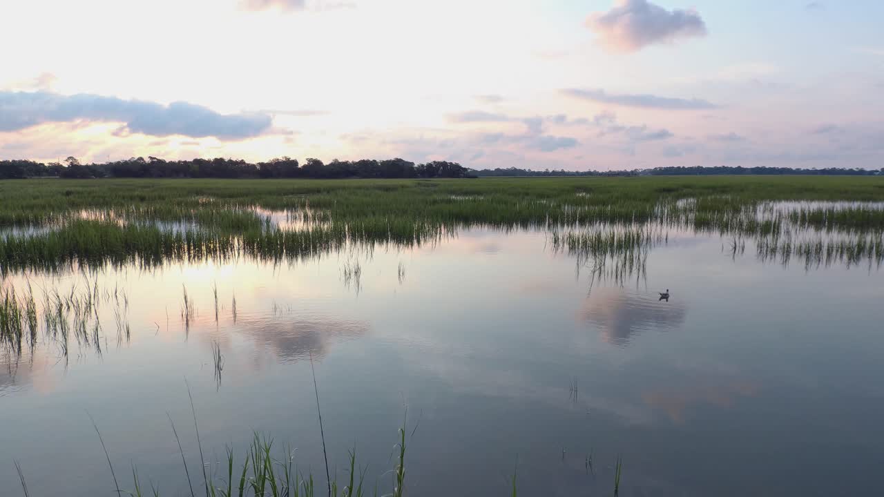 Sorvolo aereo di zona paludosa a Tybee Island