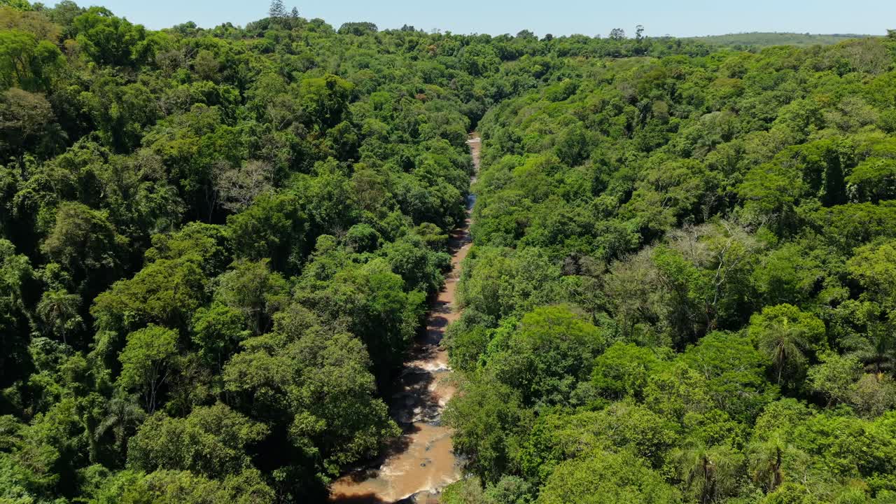 Aerial fly over forest narrow river cutting through dense green canopies, Misiones, Argentina