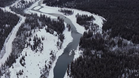 the takhini river encircled by a snow-covered fir forest in yukon, canada - aerial drone shot