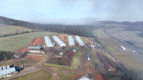 Chicken-Farm-Beherbergt-Wilkes-County-NC,-North-Carolina