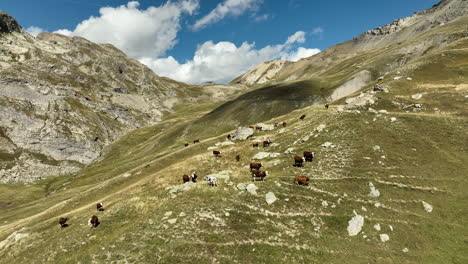 Vista-Aérea-Sobre-Las-Místicas-Nubes-De-La-Mañana-Macizo-De-Ecrins-Alpes-Franceses-Hermoso-Sol