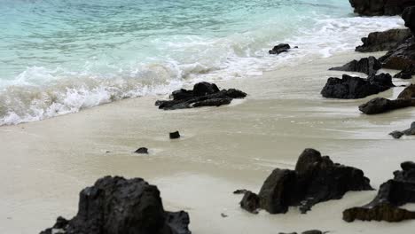 escena de playa tranquila con agua turquesa