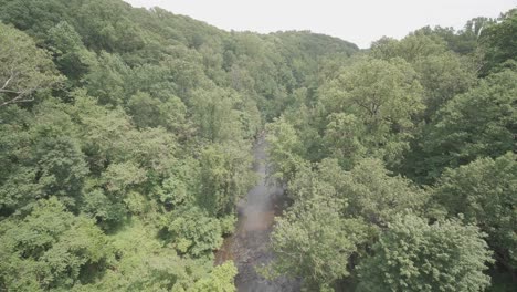 lapso de tiempo toma amplia alta del arroyo wissahickon, desde el puente de walnut lane