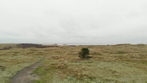 Dunas-Cubiertas-De-Hierba-En-La-Playa-De-Ameland,-Países-Bajos,-En-La-Niebla-De-Otoño,-Antena