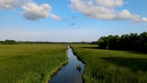 drone flying over the long waterlogged marshes surrounded by shrubs and vegetation at 9 mile creek, bloomington minnesota