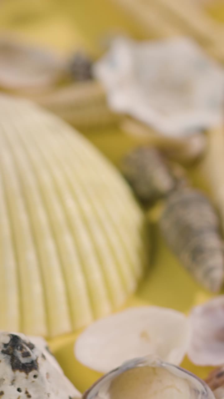 플라스틱 병, 쓰레기 데기, 해변 환경에 대한 수직 비디오 오염 개념