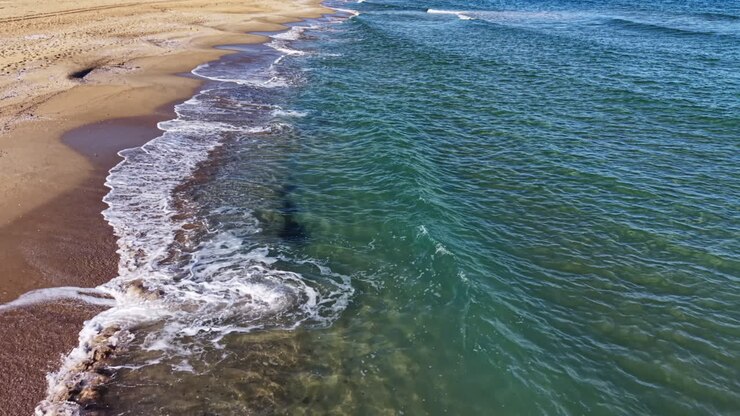 Tranquil waves gently lap against a sandy shoreline under the clear blue sky at the edge of a serene beach
