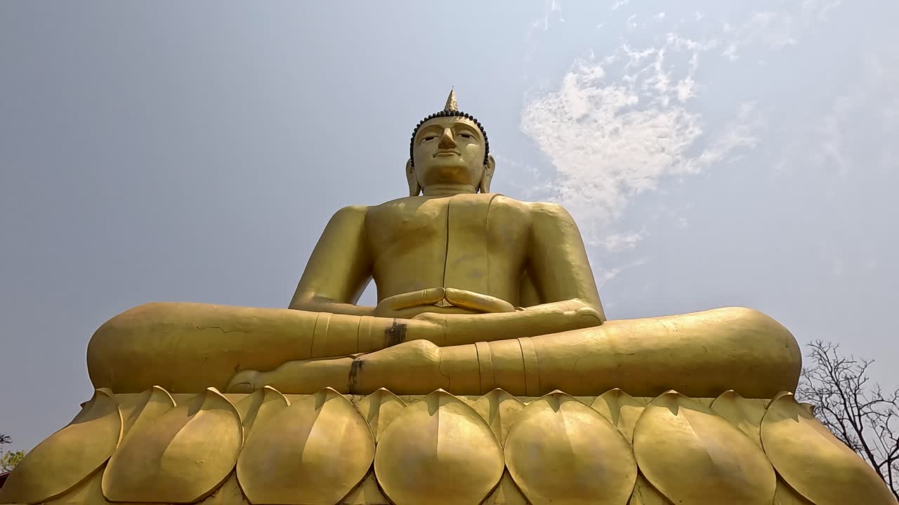 Camera tilts upward from base to head of a massive golden Buddha statue at an outdoor temple, under bright daylight and clear sky