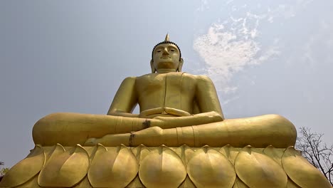 camera tilts upward from base to head of a massive golden buddha statue at an outdoor temple, under bright daylight and clear sky
