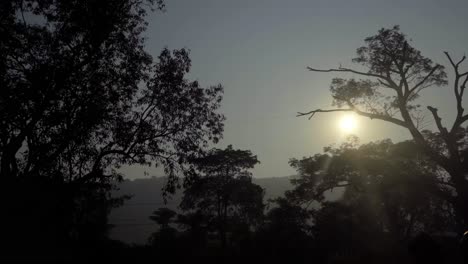 care pov from side window moving trees sunset sunrise mumbai india thane maharashtra