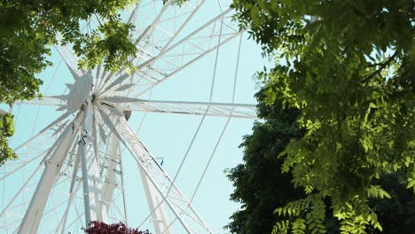 la rueda de buda en el parque de la ciudad