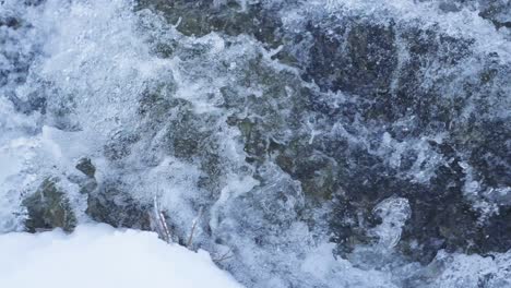 winter snow forest river landscape