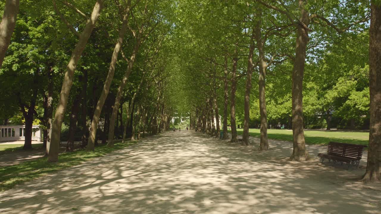 sendero bordeado de árboles en el parque público de ocio de cinquantenaire en bruselas, bélgica