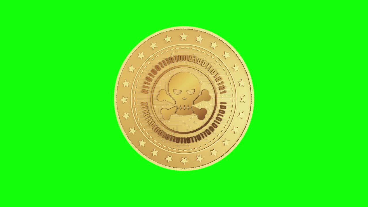 해적, 두개골, 사이버 범죄, 해킹, 황금 동전, 녹색 화면에서 고립된 루프