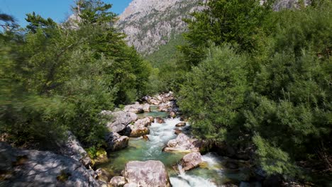 toma cinematográfica del río alpino con agua limpia que fluye a través de piedras y árboles en el valle de valbona, albania