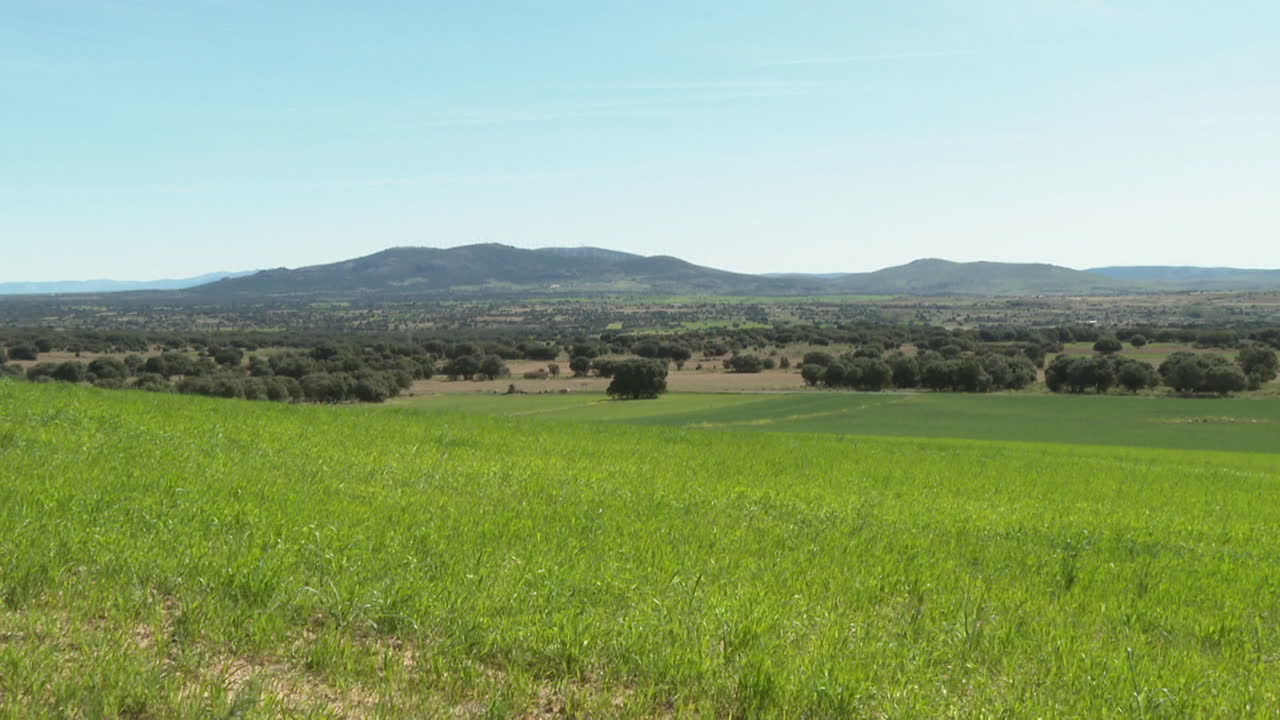 Spanish Countryside Landscape