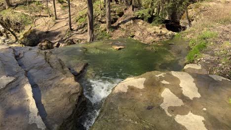 close up of small stream leading to top of small waterfall with forest in background