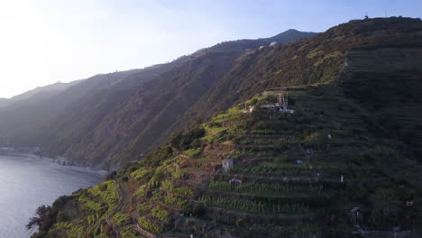 coastal terraced farm fields on cinque terre mountain in italy, aerial