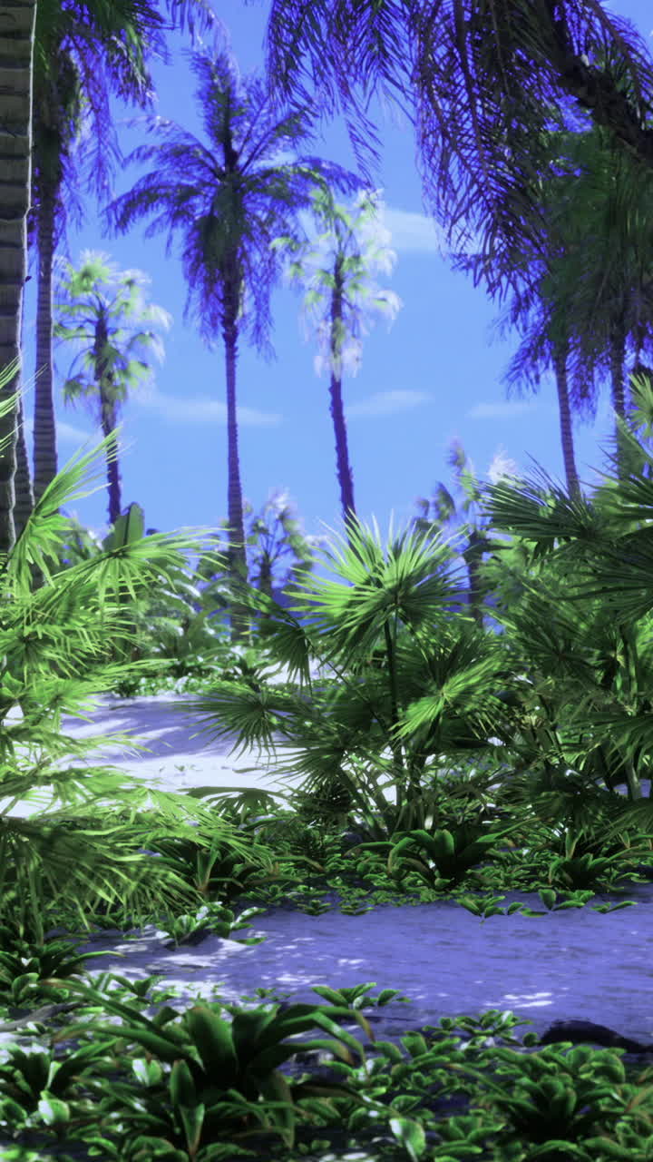 Sentiero attraverso piante tropicali in una zona costiera in una giornata di sole.
