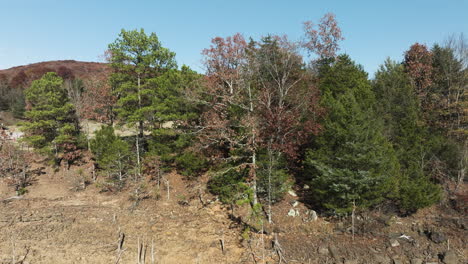 Bosque-Otoñal-En-El-Parque-Estatal-Lake-Fort-Smith,-Arkansas,-Estados-Unidos---Disparo-De-Drone