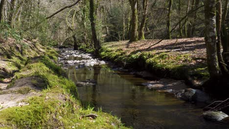 agua dulce que fluye por el río teign en el parque nacional de dartmoor